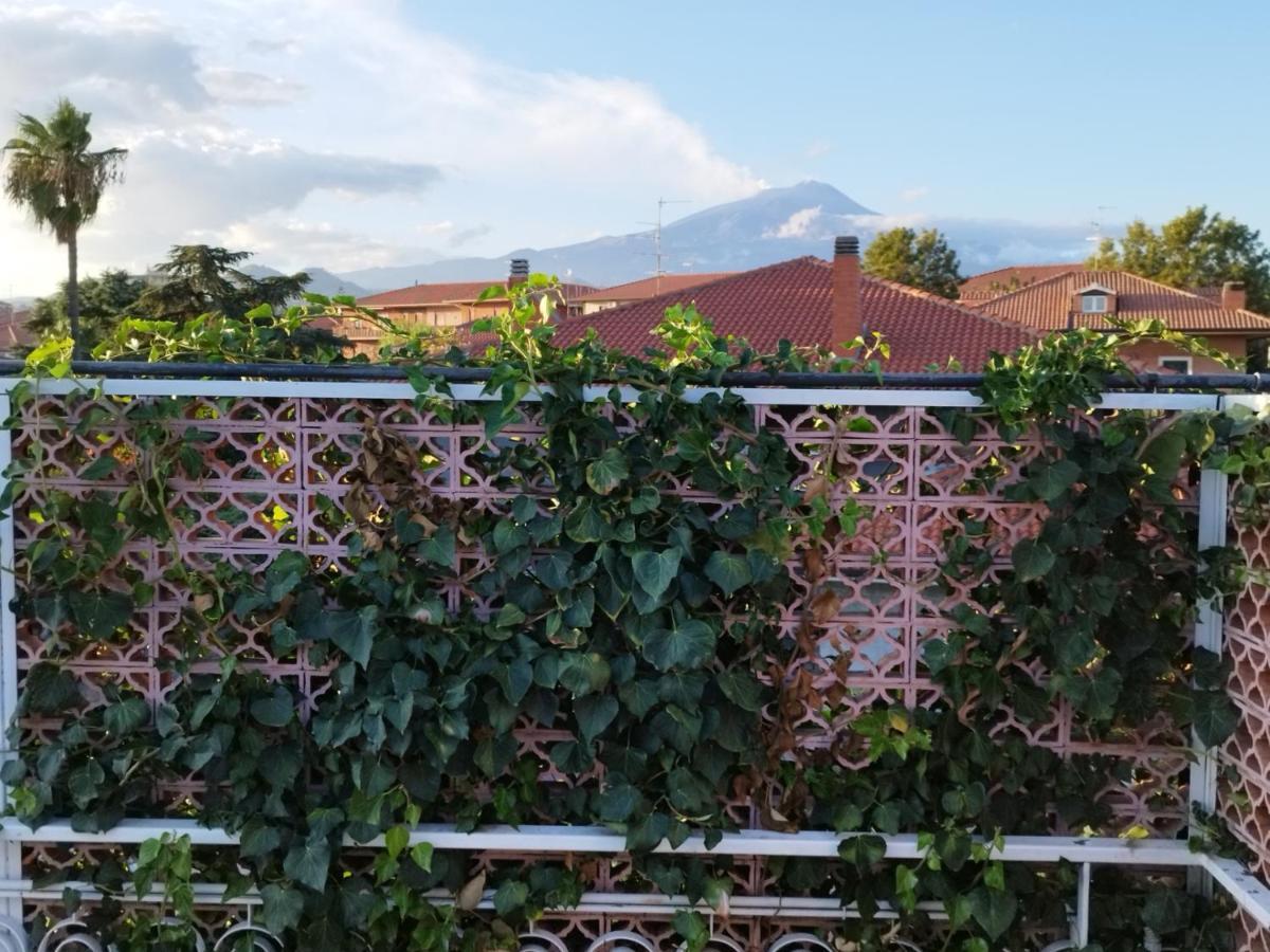 Greenhouse Маскалуча Экстерьер фото